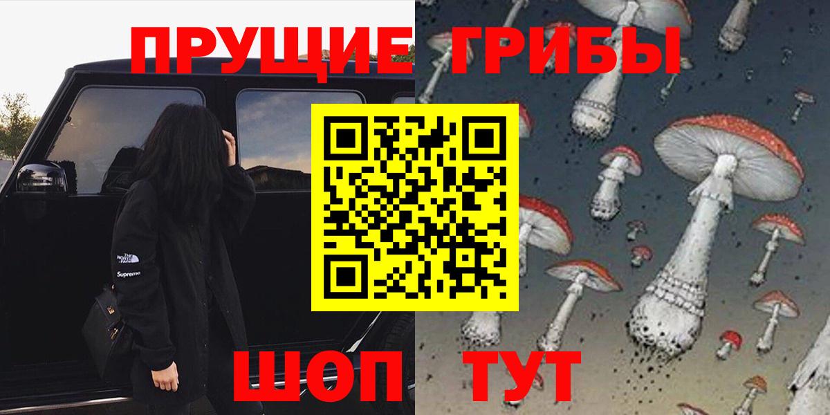 Псилоцибиновые грибы Magic Shrooms  Вход с VPN  Губкин 