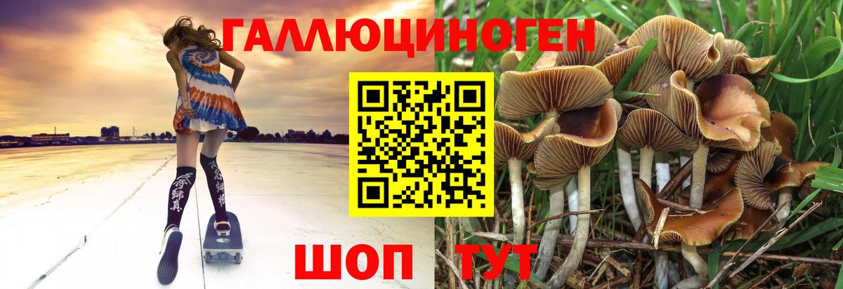 Псилоцибиновые грибы прущие грибы Губкин